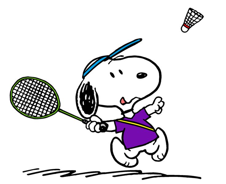 REPORT BADMINTON – Opavský boreček 10.6.2017